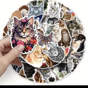 Colorful Maine Coon Cat Sticker Set 12 Pack